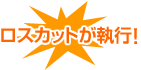 ���X�J�b�g�����s