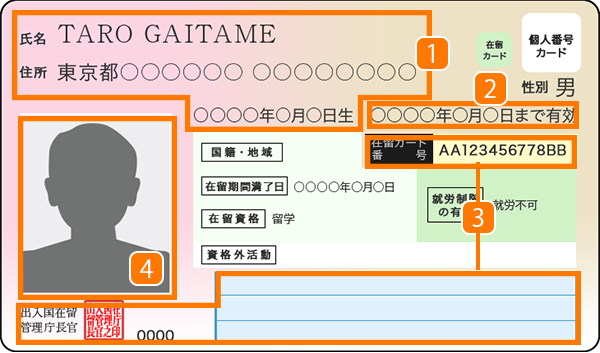 特定在留カード（表面） 面のイメージ画像