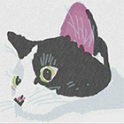 黒猫アイランド