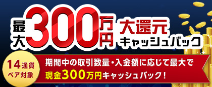 大還元キャッシュバックキャンペーン