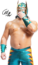 ペソルマン（残念）