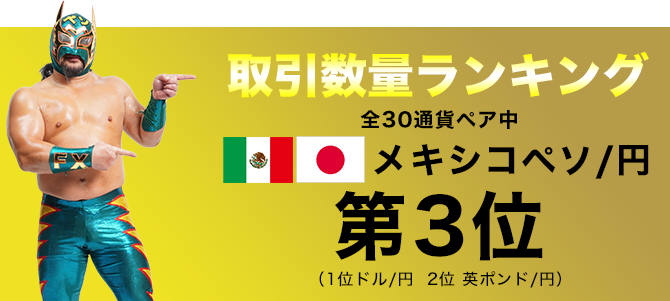 取引数量ランキング