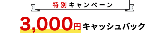 特別キャンペーン3,000円キャッシュバック