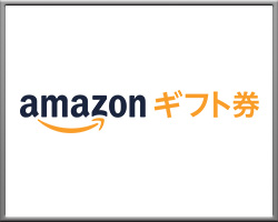 Amazonギフト（500円分）