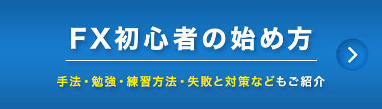 FX初心者の始め方 手法・勉強・練習方法・失敗と対策などもご紹介